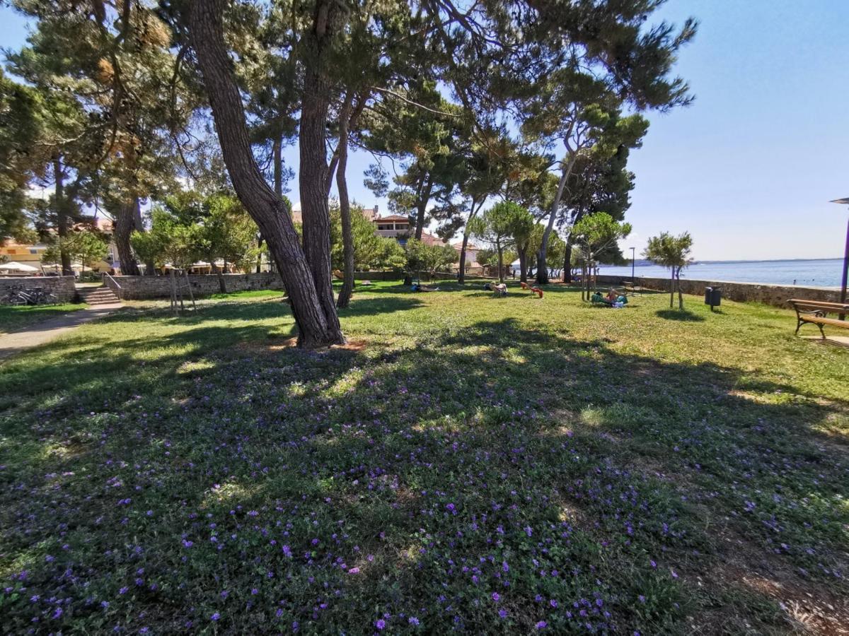 Ivan B&B, 5 Star Superior Room, Near The See And Park Novigrad  Bagian luar foto