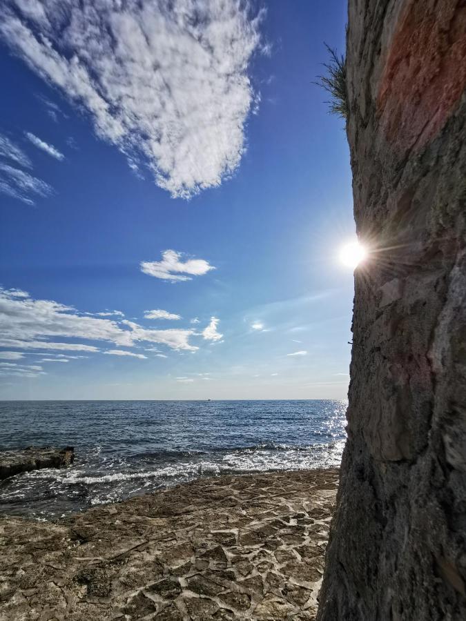 Ivan B&B, 5 Star Superior Room, Near The See And Park Novigrad  Bagian luar foto